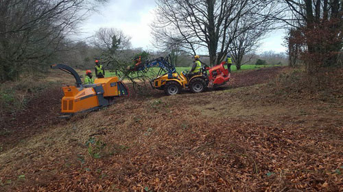 Clearing Hembury Fort of it's trees and scrub Hembury Fort HLS winter works 2015/16 by Hartwood Treeworks