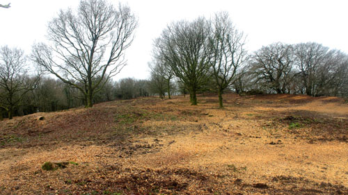 Now that a lot of the trees and scrub have been removed you can start to see Hembury Fort Hembury Fort HLS winter works 2015/16 by Hartwood Treeworks