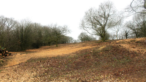 Now that a lot of the trees and scrub have been removed you can start to see Hembury Fort Hembury Fort HLS winter works 2015/16 by Hartwood Treeworks