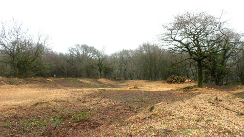 Now that a lot of the trees and scrub have been removed you can start to see Hembury Fort Hembury Fort HLS winter works 2015/16 by Hartwood Treeworks