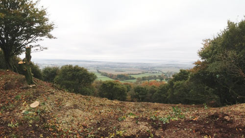 Clearing Hembury Fort of it's trees and scrub Hembury Fort HLS winter works 2016/17 by Hartwood Treeworks