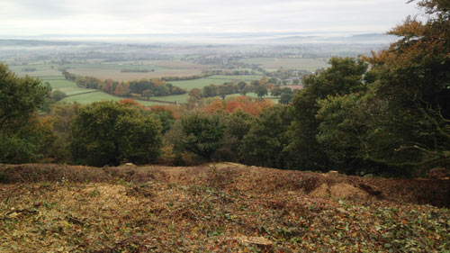 Clearing Hembury Fort of it's trees and scrub Hembury Fort HLS winter works 2016/17 by Hartwood Treeworks