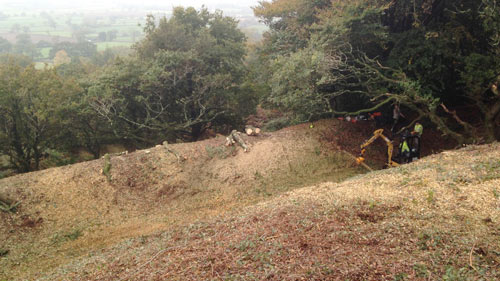 Clearing Hembury Fort of it's trees and scrub Hembury Fort HLS winter works 2016/17 by Hartwood Treeworks